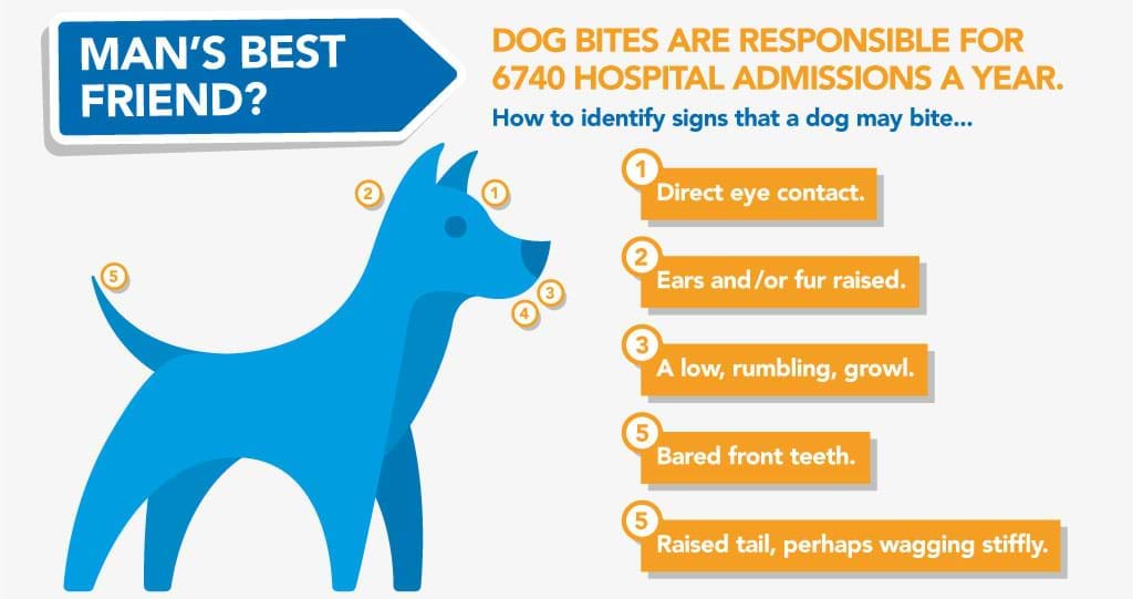 What to Do After a Dog Bite and How to Report It